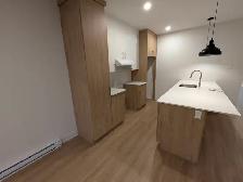 Beau  Grand 5  1/2  rue Prince-Albert - Photo 3
