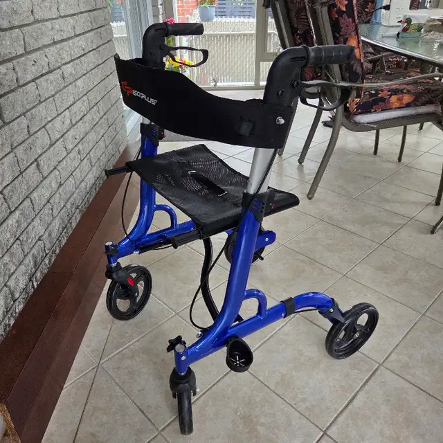 Déambulateur Goplus
