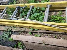 Ladder (24ft Featherlite/extension) - Photo 3