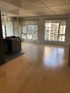 SUPERBES CONDOS 5 1/2  GRIFFINTOWN – JUILLET(RABAIS DISPONIBLES) - Photo 3
