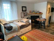 Bachelor Apartment Near Little Lake and Downtown - Photo 8