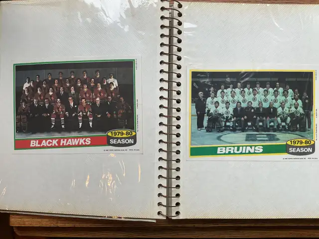 15. 1979-80 NHL Team Pictures In a Binder !