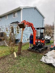 garden soil , top soil, gravel , excavation - Photo 6
