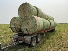 2026 2nd cut Alfalfa - Photo 3