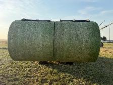 2026 2nd cut Alfalfa - Photo 6