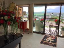 Panoramic View of River Valley and the City! - Photo 30
