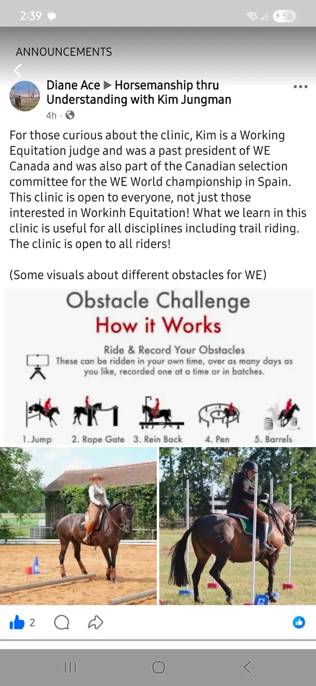 Horsemanship Thru Understanding