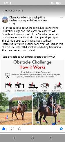 Horsemanship Thru Understanding