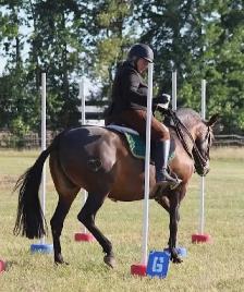 Horsemanship Thru Understanding - Photo 3