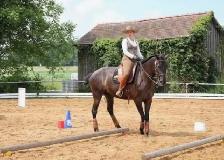 Horsemanship Thru Understanding - Photo 4