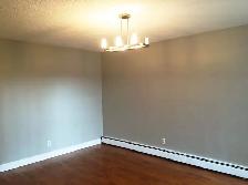 Inner City Apartment 2 BR for September - Photo 2
