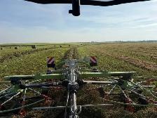 1st cut Alfalfa/grass bales - Photo 2