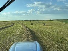 1st cut Alfalfa/grass bales - Photo 5