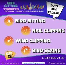 BIRD SITTING IN MISSISSAUGA! - Photo 2