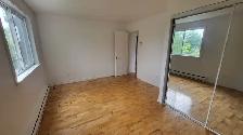 Ste-Foy, 4½ LIBRE, TOUT INCLUS, secteur paisible 1125$ - Photo 6