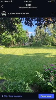 lawn care