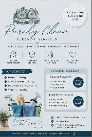 Professional Cleaning Services