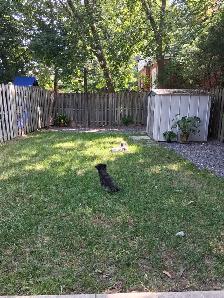 Westboro room for rent Oct 1 or sooner - Photo 3