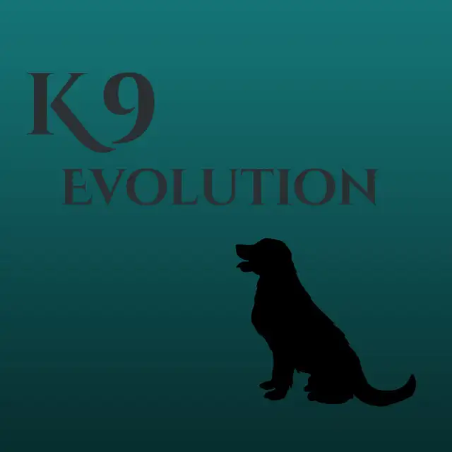 K9 Evolution Dog Training