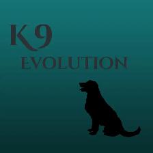 K9 Evolution Dog Training