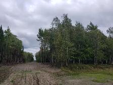 Terrein de chasse a louer - Photo 3
