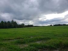 Terrein de chasse a louer - Photo 4