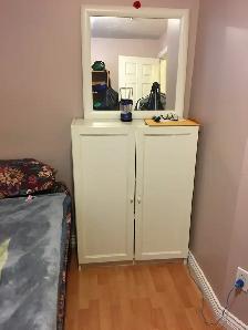 Private furnished BR in 2 BR basement suite, Joyce Station - Photo 8