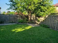 1 bedroom Legal walkout /basement apartment - Photo 10