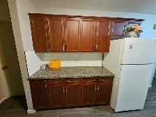 3BR House Near UofM to Rent - Photo 6