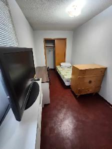 Furnished Rooms for Rent — Near York University