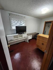 Furnished Rooms for Rent — Near York University - Photo 2