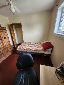 Furnished Rooms for Rent — Near York University - Photo 3