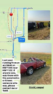 MISSING GOLDEN DOODLE - Photo 2