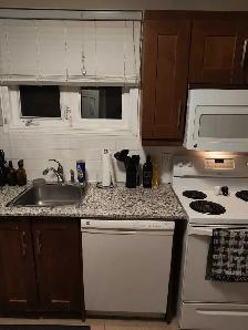 Fabulous two-bedroom apartment for rent