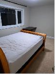 Room for rent in big modern house Edmonton Southwest
