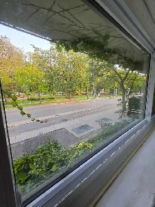 apartment rent - Photo 3