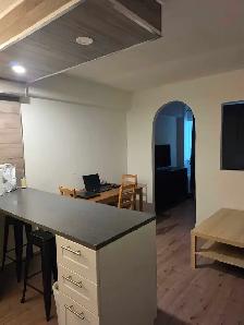 apartment rent - Photo 7