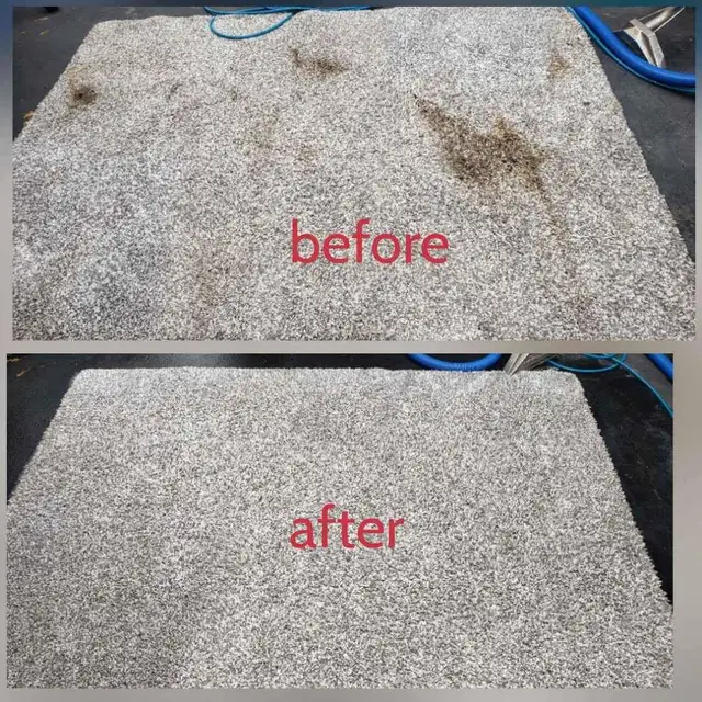 The Professional House_Carpet & Couch_Cleaning_Affordable Price