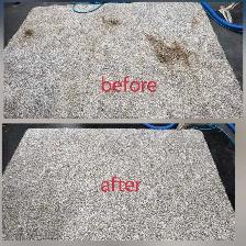 The Professional House_Carpet & Couch_Cleaning_Affordable Price