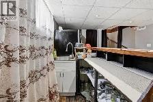 One bedroom Basement Apt for rent - Photo 3