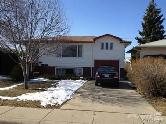 Raised bright one bedroom suite for rent, great location.