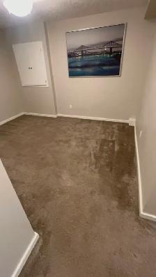 House for Rent – Spacious 4 Bedroom Home in Edmonton! - Photo 9