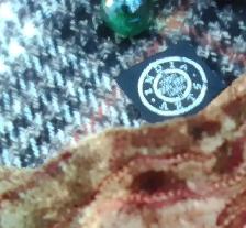 LUXURY LEO ENERGY!!  EMBROIDERED VELVET SCARF BY INDIA ARTS - Photo 8