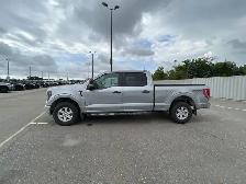 2023 Ford F-150 XLT FX4 SuperCrew 6.5' Box 4WD | One Owner | No
