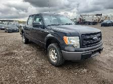 2014 Ford F-150 - Photo 2