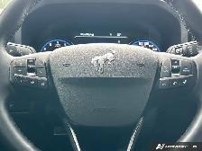 2024 Ford Bronco Sport Badlands - Photo 19