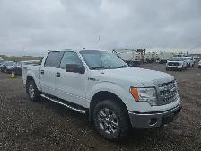 2013 Ford F-150 - Photo 2