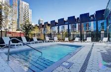 Downtown 2 Bedroom Condo for Rent A louer - Photo 2