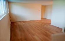 LARGE 1 BEDROOM - 15 MIN BROCK - Photo 2