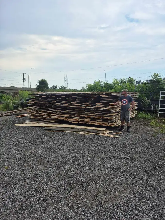 white pine lumber 1x10
